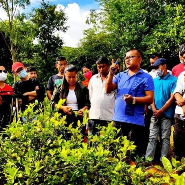 WhatsApp Image 2026-02-10 at 3.14.54 AM